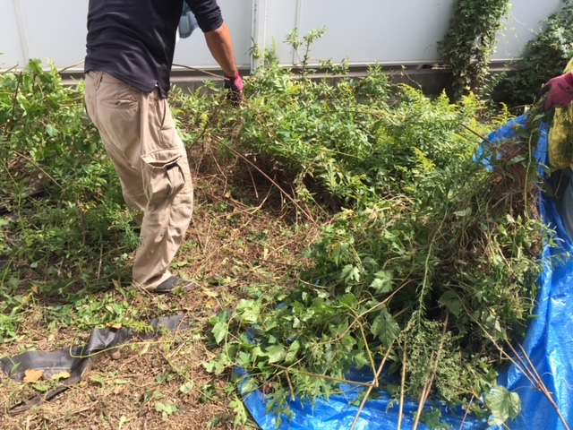 ���@������