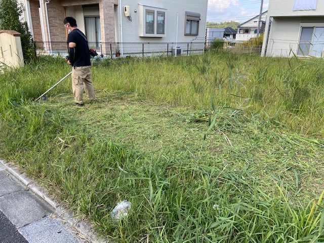阪南市で草刈り、剪定はお助けマスターにお任せください