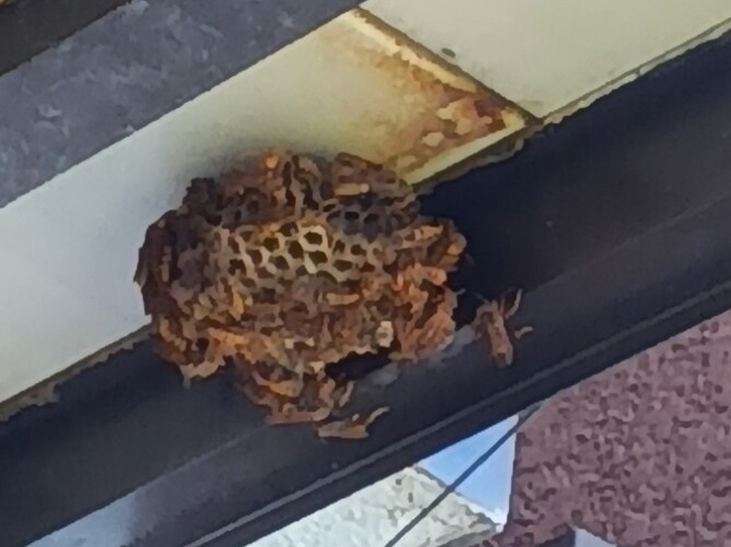 代行・付き添い