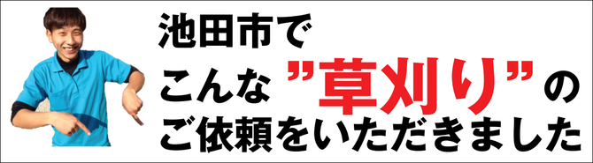 草刈り 草刈り