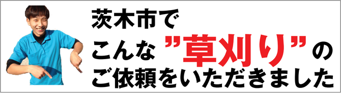 草刈り 草刈り