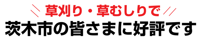 草刈り 草刈り