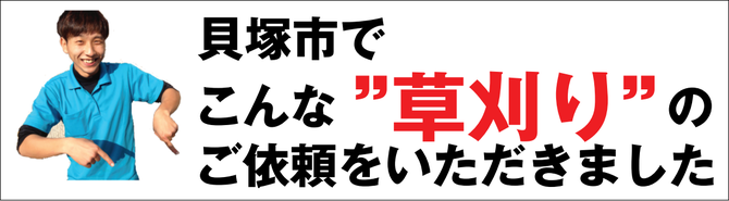 草刈り 草刈り