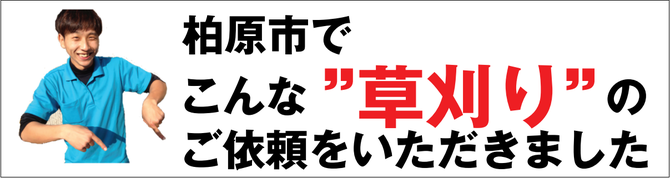 草刈り 草刈り