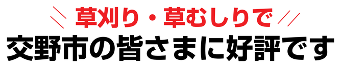 草刈り 草刈り