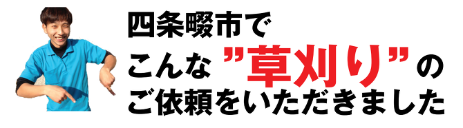 草刈り 草刈り