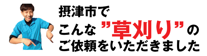 草刈り 草刈り