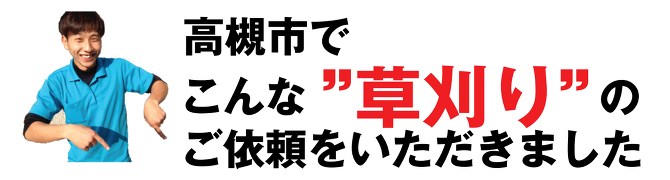草刈り 草刈り